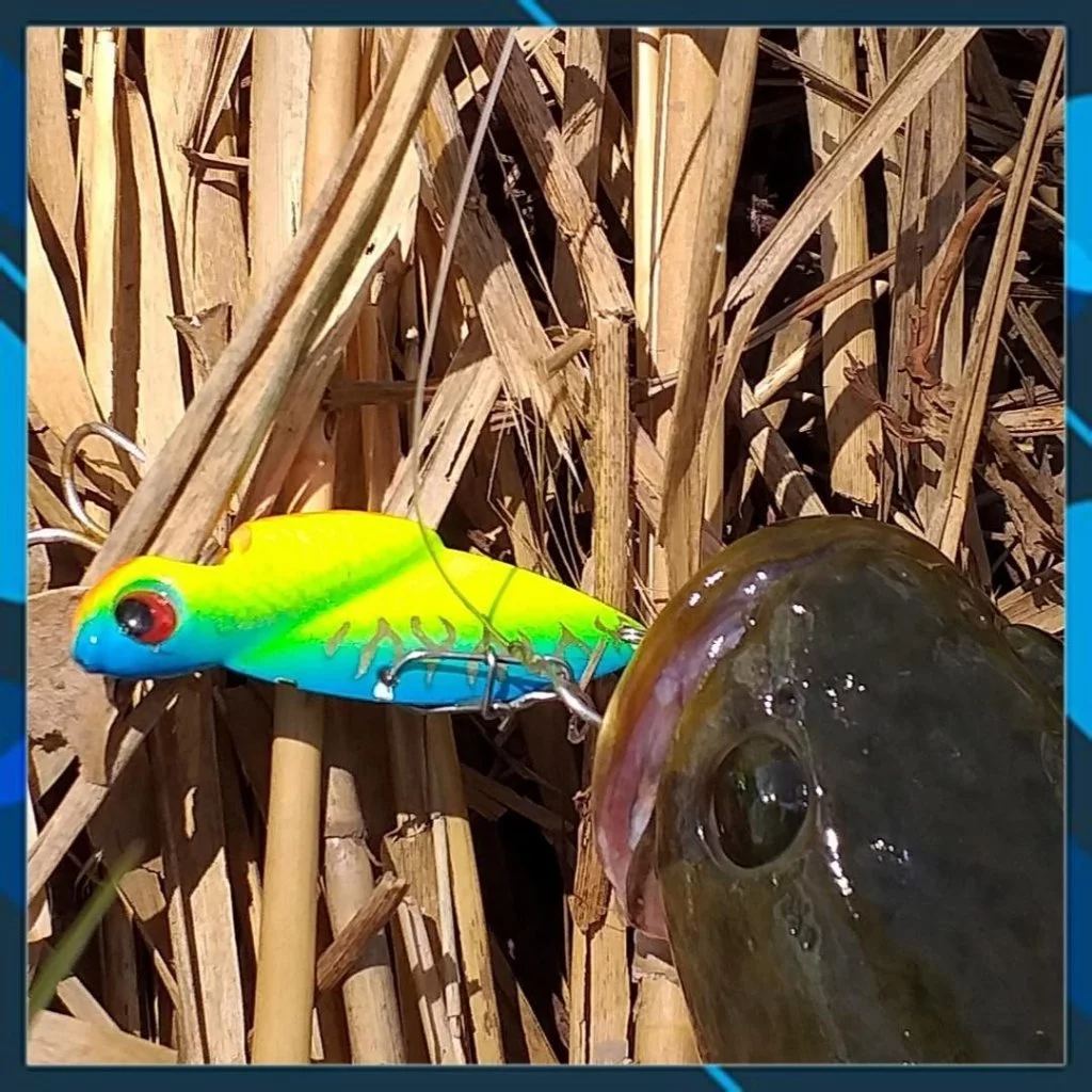 Mồi câu lure Cá sắt Cicada 14g - Hình ảnh 9