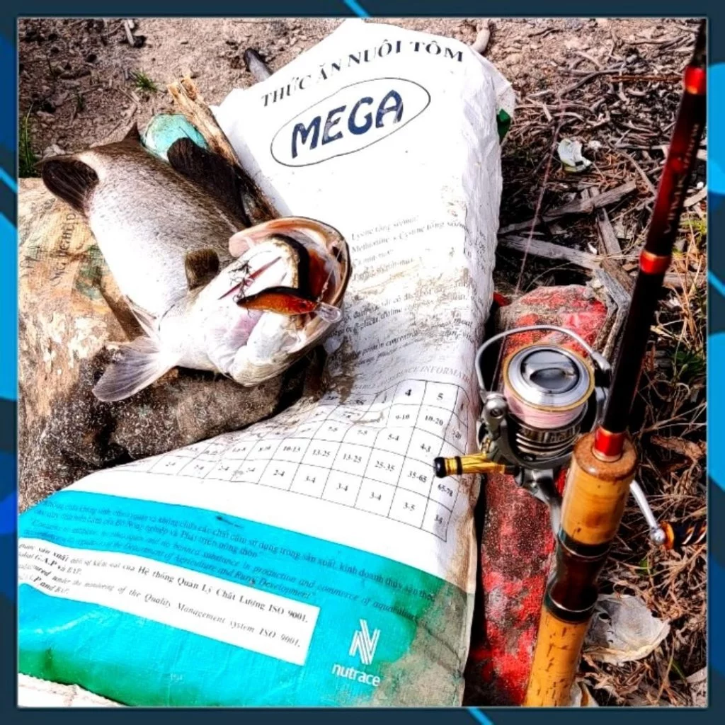 Mồi câu cá Target Mario 80F , mồi lure cá chẻm, mú... lặn sâu 80cm - 1m nước - Hình ảnh 8