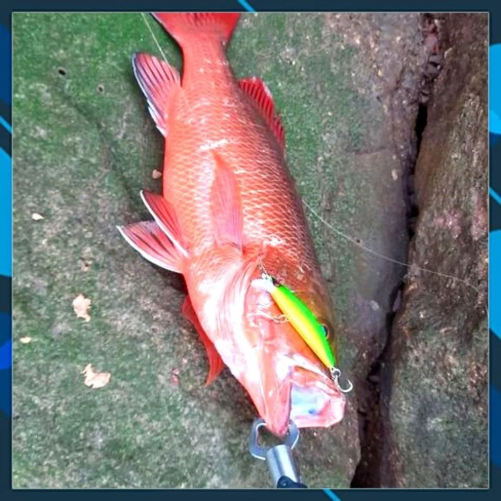 Mồi câu cá Target Roy 80 , mồi lure chẽm, măng, hồng, mú... - Hình ảnh 9