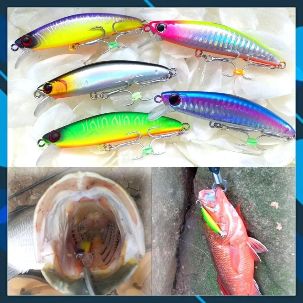 Mồi câu cá Target Roy 80 , mồi lure chẽm, măng, hồng, mú...