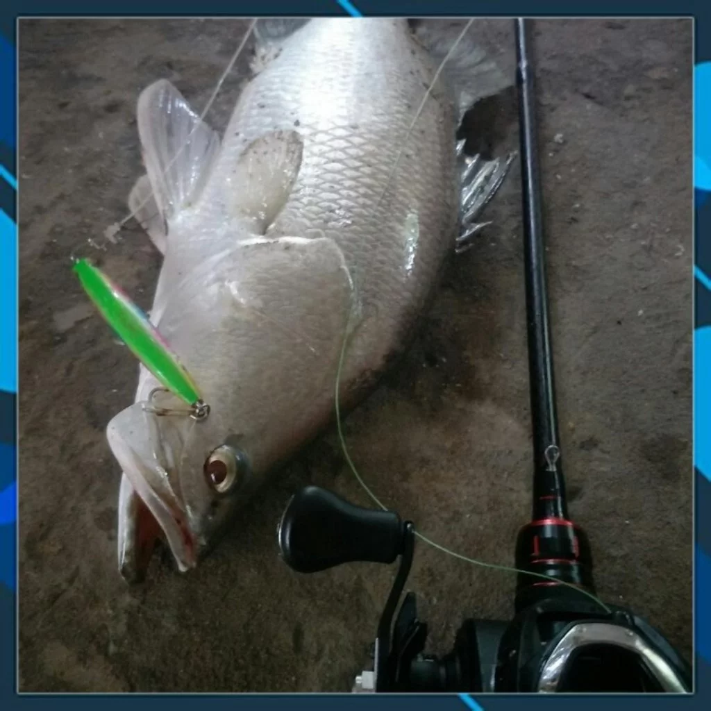 Mồi câu cá Target Yoko 85 Slim , mồi lure chẻm, măng, chéc, mú. hồng... - Hình ảnh 8